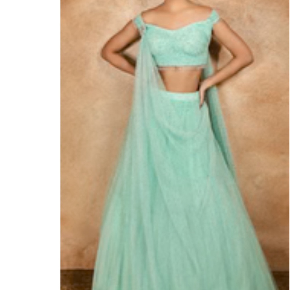 Brand new Lehnga with blouse.